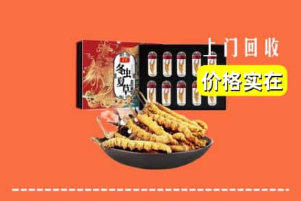 连州市回收冬虫夏草